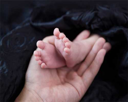 沈阳代孕哪个医院比较好|2023
台州医院试管婴儿