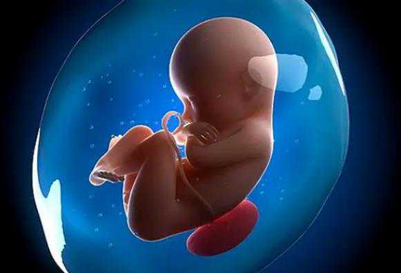 沈阳哪里可以做代孕吗|宁波供卵试管什么情况下第三代试管婴儿多胞胎要减胎