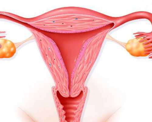 2024北京试管助孕条件,北京私人试管助孕微信群真的存在吗？-代怀代生