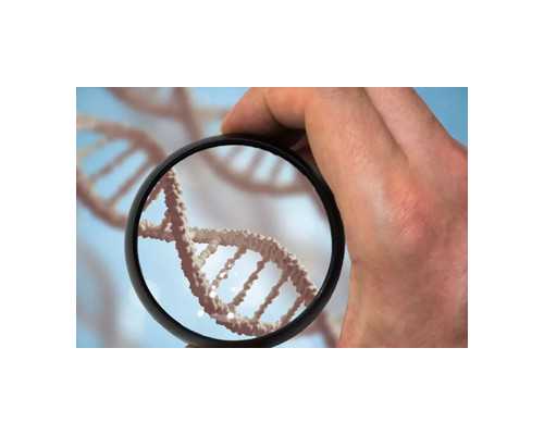 供精试管费用_借卵试管利弊,广州好的试管，广州试管婴儿哪儿做好