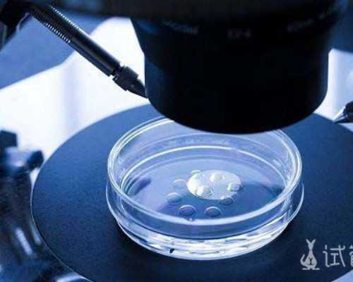 2025北京试管助孕条件,北京有资质的十大助孕机构-哪家医院做代孕好