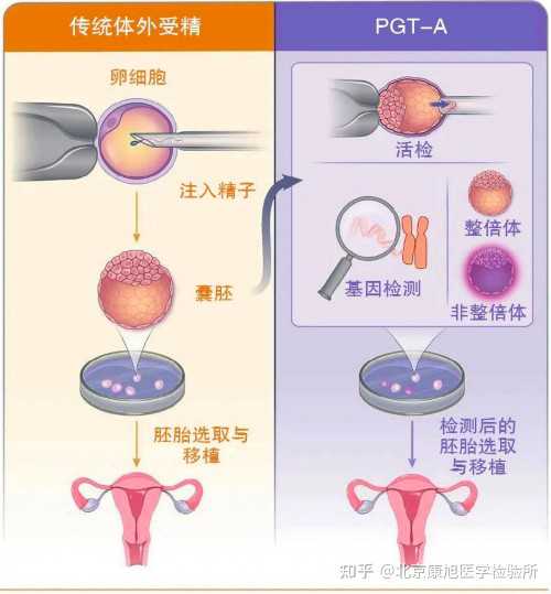 上海供卵助孕；高龄备孕遇上子宫内膜薄，真实经验分享