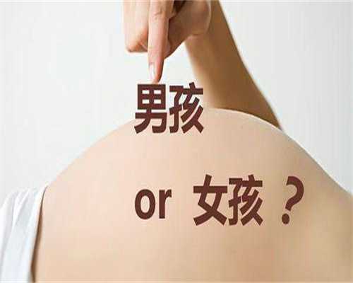 少精无精做试管